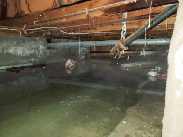 Best Commercial water damage restoration  in Tickfaw, LA