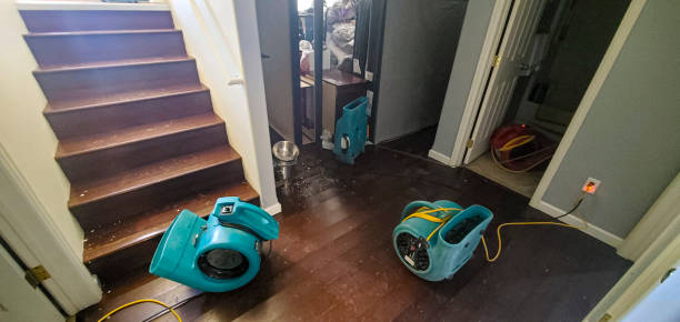 Best 24-hour water damage restoration  in Tickfaw, LA