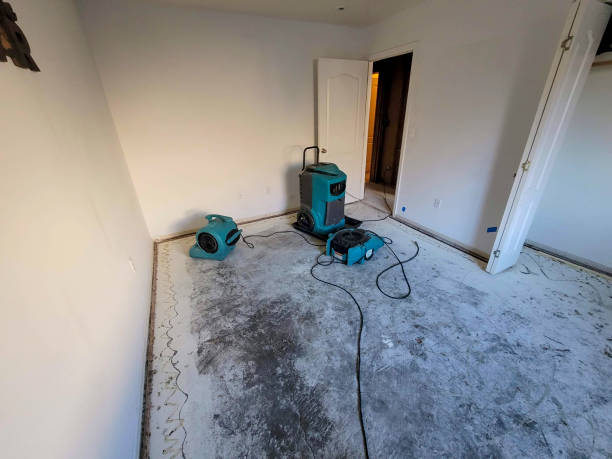 Best Ceiling water damage repair  in Tickfaw, LA