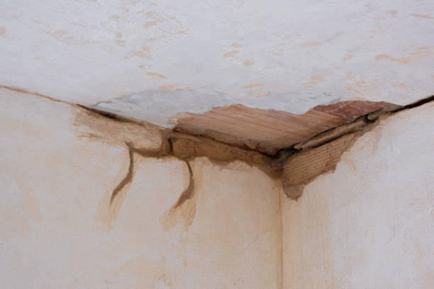 Best Carpet water damage restoration  in Tickfaw, LA