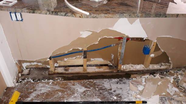 Best Professional water damage repair  in Tickfaw, LA