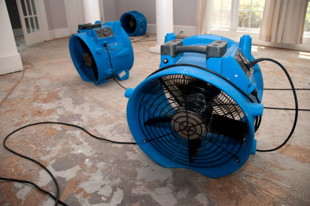 Best Local water damage restoration  in Tickfaw, LA