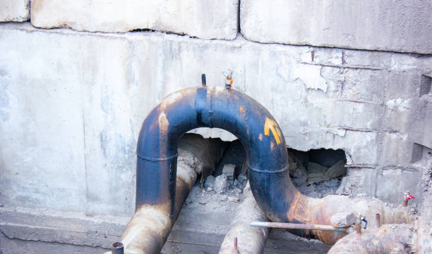 Best Water damage contractors near me  in Tickfaw, LA