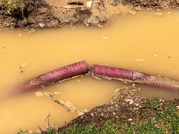 Best Water damage restoration near me  in Tickfaw, LA