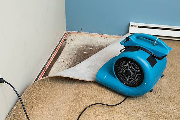 Best 24/7 water damage repair  in Tickfaw, LA